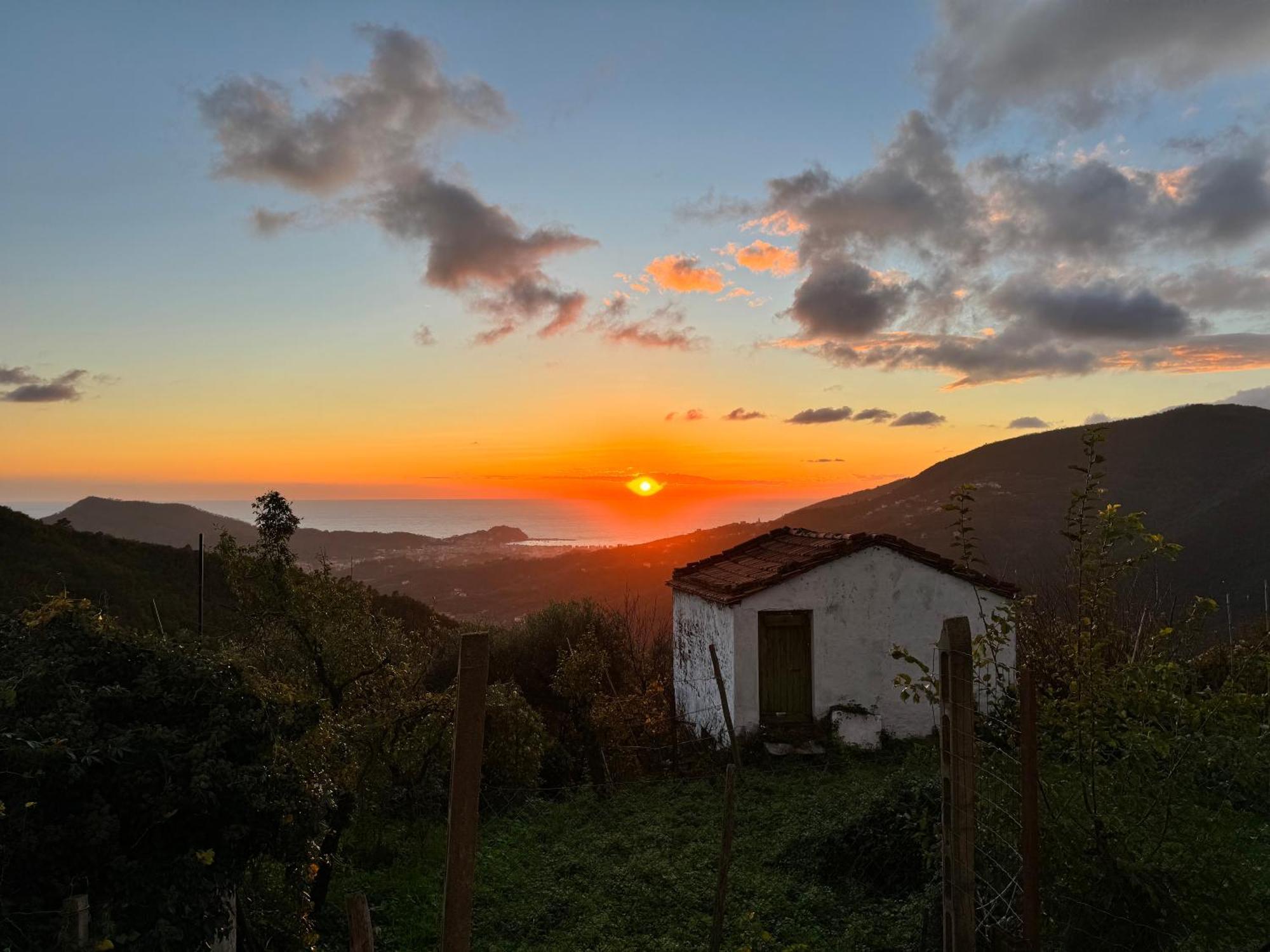 La Collina Sul Mare - Casa Vacanze Sestri Levante Extérieur photo
